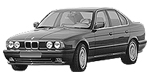 BMW E34 P1416 Fault Code